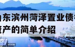 山东滨州菏泽置业债权资产的简单介绍