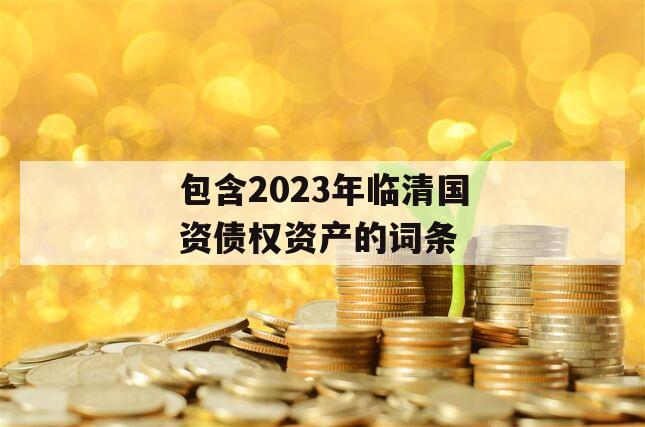 包含2023年临清国资债权资产的词条