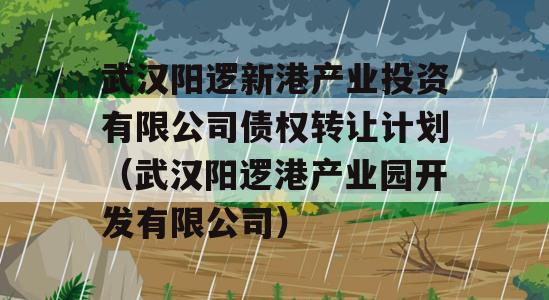 武汉阳逻新港产业投资有限公司债权转让计划（武汉阳逻港产业园开发有限公司）