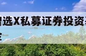 智选X私募证券投资基金