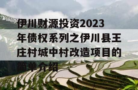 伊川财源投资2023年债权系列之伊川县王庄村城中村改造项目的简单介绍