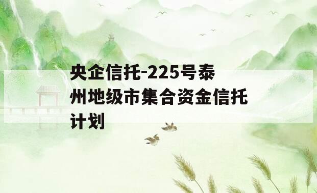 央企信托-225号泰州地级市集合资金信托计划