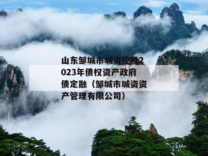 山东邹城市城资控股2023年债权资产政府债定融（邹城市城资资产管理有限公司）