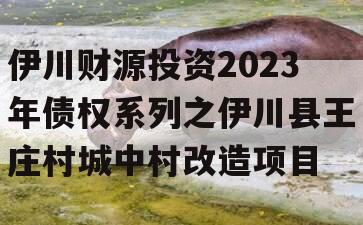 伊川财源投资2023年债权系列之伊川县王庄村城中村改造项目