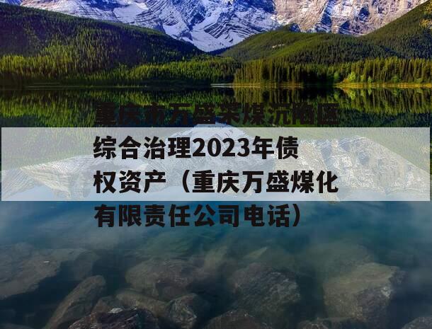 重庆市万盛采煤沉陷区综合治理2023年债权资产（重庆万盛煤化有限责任公司电话）