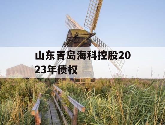 山东青岛海科控股2023年债权