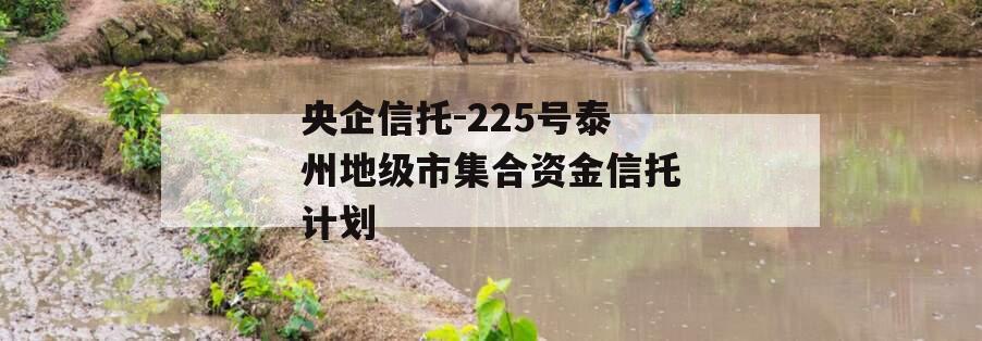 央企信托-225号泰州地级市集合资金信托计划