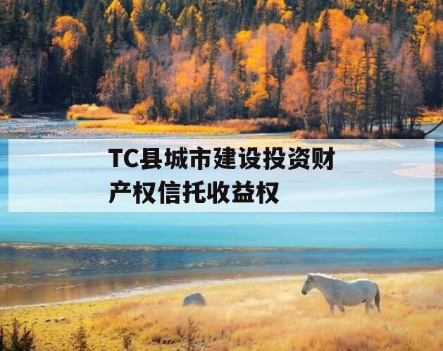 TC县城市建设投资财产权信托收益权