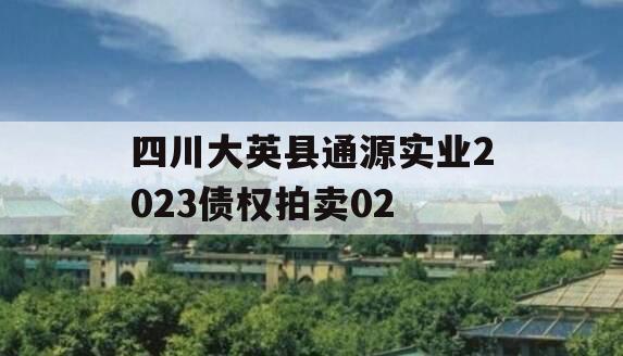 四川大英县通源实业2023债权拍卖02