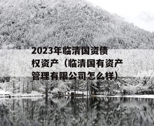 2023年临清国资债权资产（临清国有资产管理有限公司怎么样）