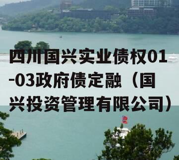 四川国兴实业债权01-03政府债定融（国兴投资管理有限公司）