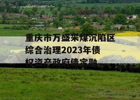 重庆市万盛采煤沉陷区综合治理2023年债权资产政府债定融