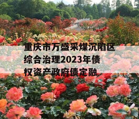 重庆市万盛采煤沉陷区综合治理2023年债权资产政府债定融