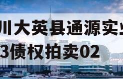 四川大英县通源实业2023债权拍卖02