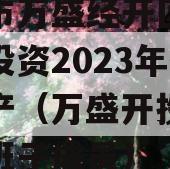 重庆市万盛经开区城市开发投资2023年债权资产（万盛开投集团领导班子成员）