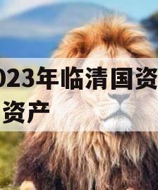 2023年临清国资债权资产