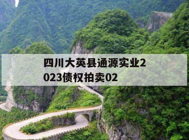 四川大英县通源实业2023债权拍卖02