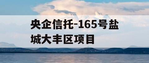 央企信托-165号盐城大丰区项目