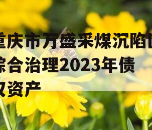 重庆市万盛采煤沉陷区综合治理2023年债权资产