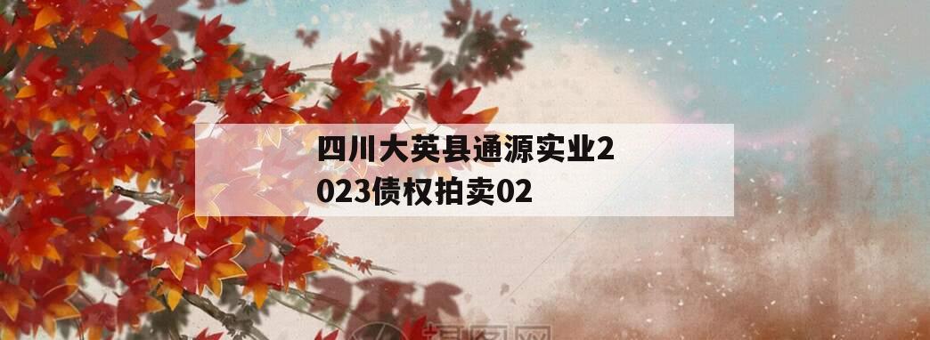 四川大英县通源实业2023债权拍卖02