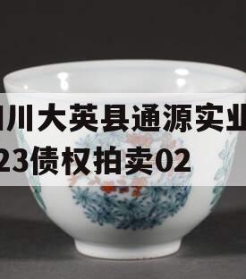 四川大英县通源实业2023债权拍卖02