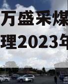 重庆市万盛采煤沉陷区综合治理2023年债权资产