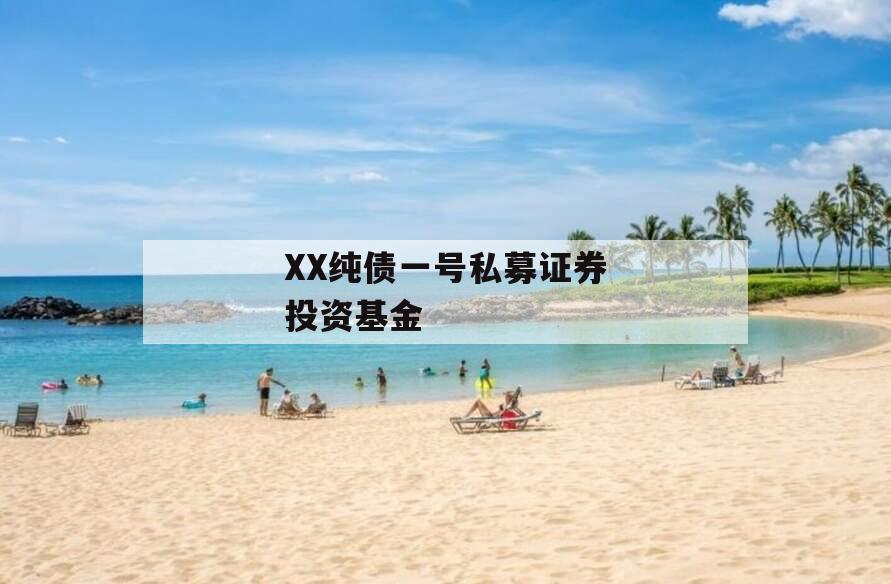 XX纯债一号私募证券投资基金