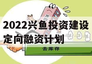 2022兴鱼投资建设定向融资计划