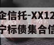 央企信托-XX12号济宁标债集合信托