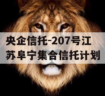 央企信托-207号江苏阜宁集合信托计划