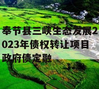 奉节县三峡生态发展2023年债权转让项目政府债定融