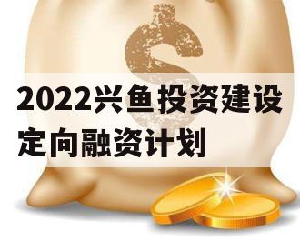 2022兴鱼投资建设定向融资计划