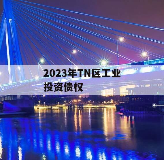 2023年TN区工业投资债权