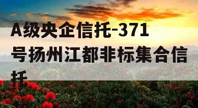 A级央企信托-371号扬州江都非标集合信托