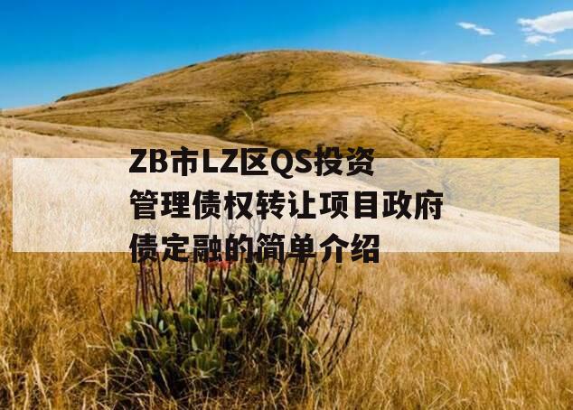 ZB市LZ区QS投资管理债权转让项目政府债定融的简单介绍