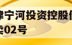 天津宁河投资控股债权拍卖02号