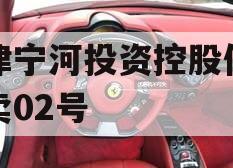 天津宁河投资控股债权拍卖02号