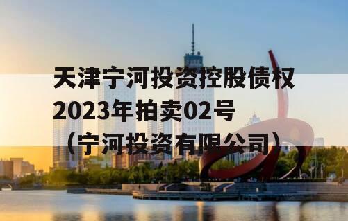 天津宁河投资控股债权2023年拍卖02号（宁河投资有限公司）