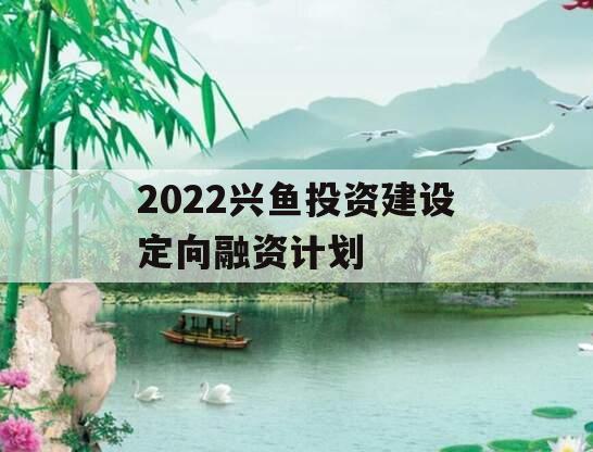 2022兴鱼投资建设定向融资计划