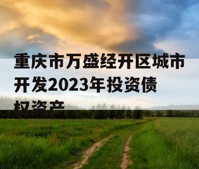 重庆市万盛经开区城市开发2023年投资债权资产