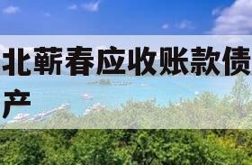 湖北蕲春应收账款债权资产