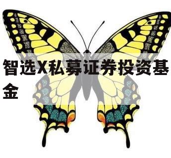 智选X私募证券投资基金