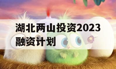 湖北两山投资2023融资计划