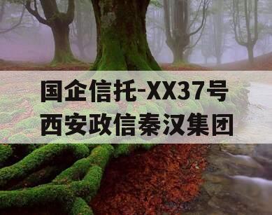 国企信托-XX37号西安政信秦汉集团