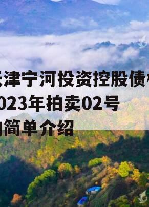 天津宁河投资控股债权2023年拍卖02号的简单介绍