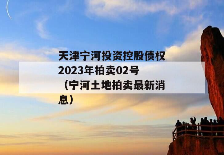 天津宁河投资控股债权2023年拍卖02号（宁河土地拍卖最新消息）