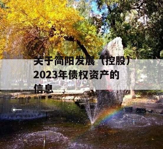 关于简阳发展（控股）2023年债权资产的信息