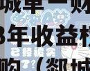 临沂郯城单一财产权信托2023年收益权转让及回购（郯城拍卖）