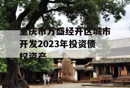 重庆市万盛经开区城市开发2023年投资债权资产