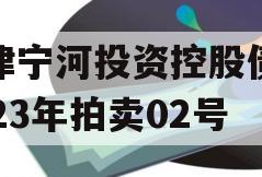 天津宁河投资控股债权2023年拍卖02号